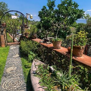 La Casa del Guamúchil